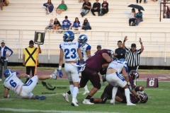 burros-blancos-borregos-puebla-2023-onefa-139