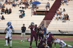 burros-blancos-borregos-puebla-2023-onefa-140