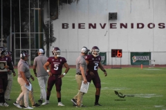burros-blancos-borregos-puebla-2023-onefa-141