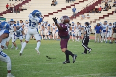 burros-blancos-borregos-puebla-2023-onefa-16