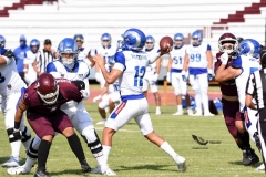 burros-blancos-borregos-puebla-2023-onefa-17