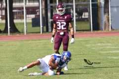 burros-blancos-borregos-puebla-2023-onefa-18