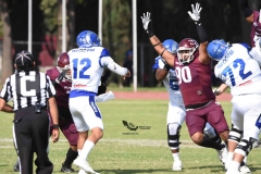 burros-blancos-borregos-puebla-2023-onefa-19