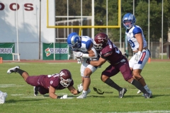 burros-blancos-borregos-puebla-2023-onefa-2