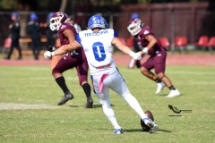 burros-blancos-borregos-puebla-2023-onefa-21