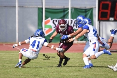 burros-blancos-borregos-puebla-2023-onefa-22