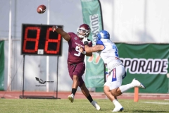 burros-blancos-borregos-puebla-2023-onefa-24