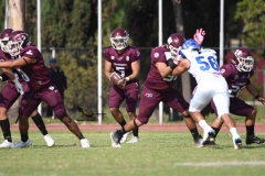burros-blancos-borregos-puebla-2023-onefa-25