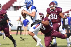 burros-blancos-borregos-puebla-2023-onefa-26