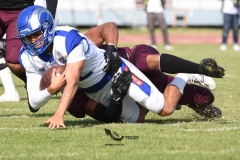burros-blancos-borregos-puebla-2023-onefa-27