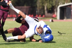 burros-blancos-borregos-puebla-2023-onefa-28