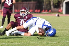 burros-blancos-borregos-puebla-2023-onefa-29