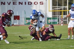 burros-blancos-borregos-puebla-2023-onefa-3