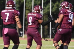 burros-blancos-borregos-puebla-2023-onefa-30