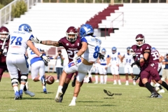 burros-blancos-borregos-puebla-2023-onefa-32
