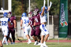 burros-blancos-borregos-puebla-2023-onefa-33