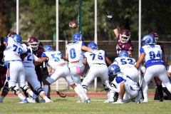 burros-blancos-borregos-puebla-2023-onefa-34