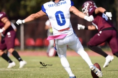 burros-blancos-borregos-puebla-2023-onefa-36