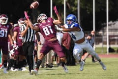 burros-blancos-borregos-puebla-2023-onefa-39