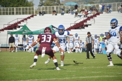 burros-blancos-borregos-puebla-2023-onefa-4