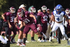 burros-blancos-borregos-puebla-2023-onefa-40
