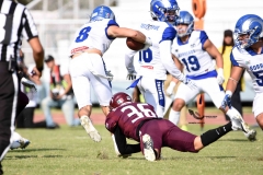 burros-blancos-borregos-puebla-2023-onefa-42