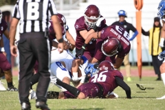 burros-blancos-borregos-puebla-2023-onefa-43