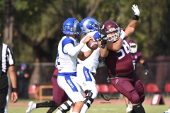 burros-blancos-borregos-puebla-2023-onefa-44