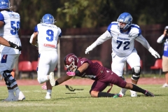 burros-blancos-borregos-puebla-2023-onefa-45