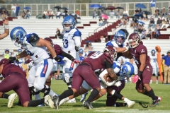 burros-blancos-borregos-puebla-2023-onefa-5