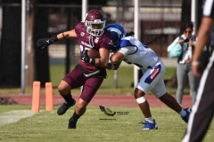 burros-blancos-borregos-puebla-2023-onefa-50