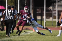 burros-blancos-borregos-puebla-2023-onefa-51