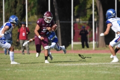 burros-blancos-borregos-puebla-2023-onefa-54