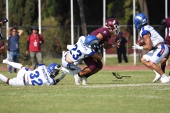 burros-blancos-borregos-puebla-2023-onefa-55