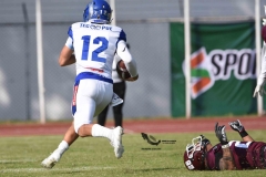 burros-blancos-borregos-puebla-2023-onefa-61