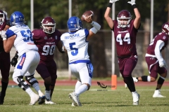 burros-blancos-borregos-puebla-2023-onefa-62