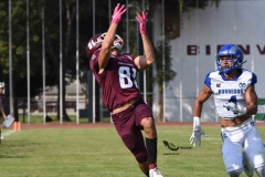 burros-blancos-borregos-puebla-2023-onefa-64