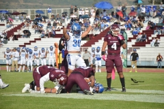 burros-blancos-borregos-puebla-2023-onefa-7