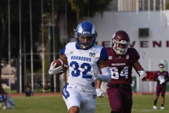 burros-blancos-borregos-puebla-2023-onefa-76