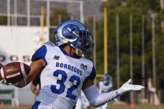 burros-blancos-borregos-puebla-2023-onefa-77