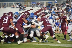 burros-blancos-borregos-puebla-2023-onefa-8