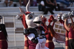 burros-blancos-borregos-puebla-2023-onefa-83