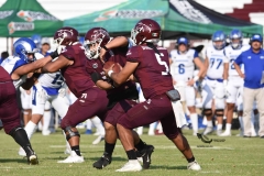 burros-blancos-borregos-puebla-2023-onefa-84