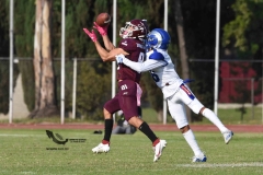 burros-blancos-borregos-puebla-2023-onefa-86