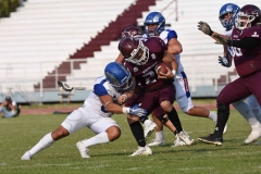 burros-blancos-borregos-puebla-2023-onefa-87