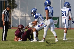 burros-blancos-borregos-puebla-2023-onefa-88