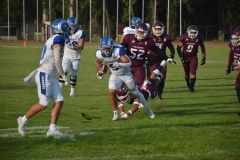 burros-blancos-borregos-puebla-2023-onefa-9