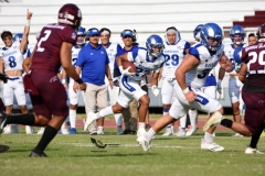 burros-blancos-borregos-puebla-2023-onefa-90