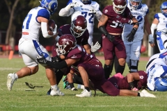 burros-blancos-borregos-puebla-2023-onefa-94