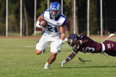 burros-blancos-borregos-puebla-2023-onefa-95